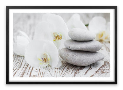 Purity