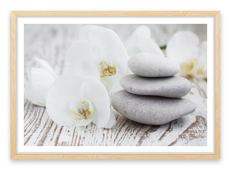 Purity