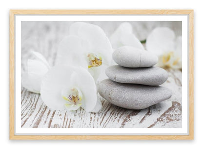 Purity