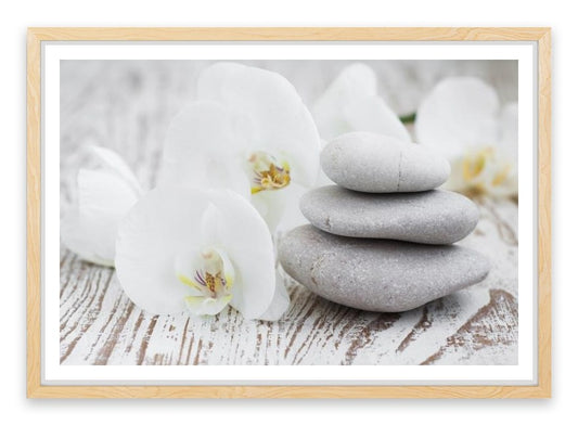 Purity