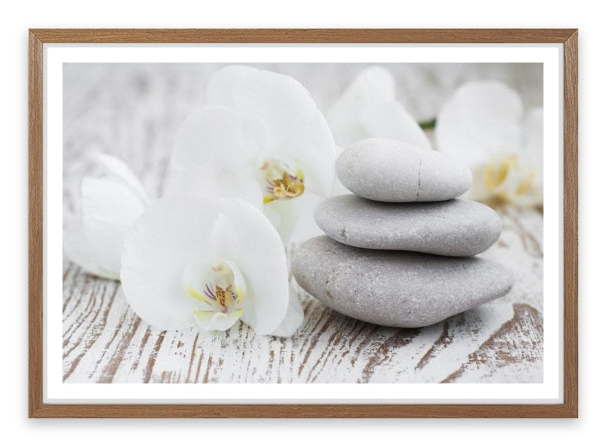 Purity
