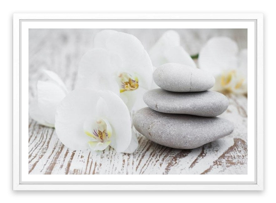 Purity