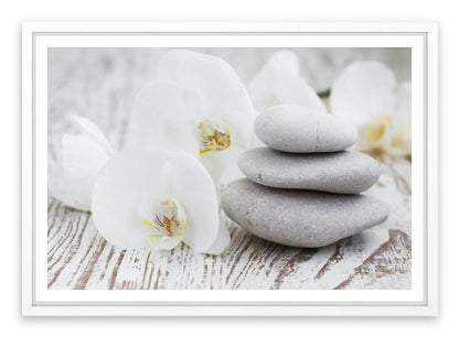 Purity