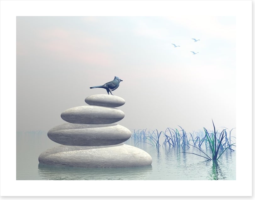 Bird of peace