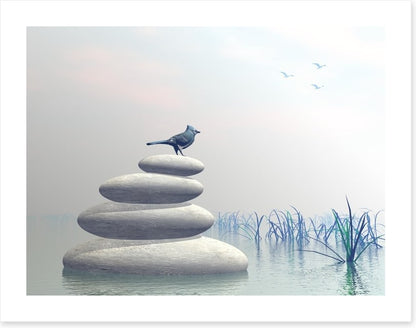 Bird of peace