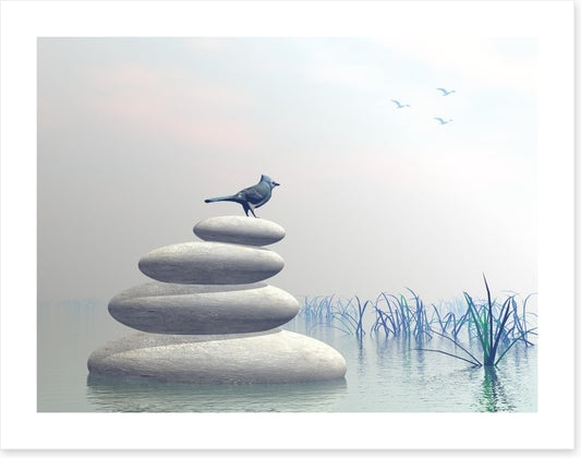 Bird of peace