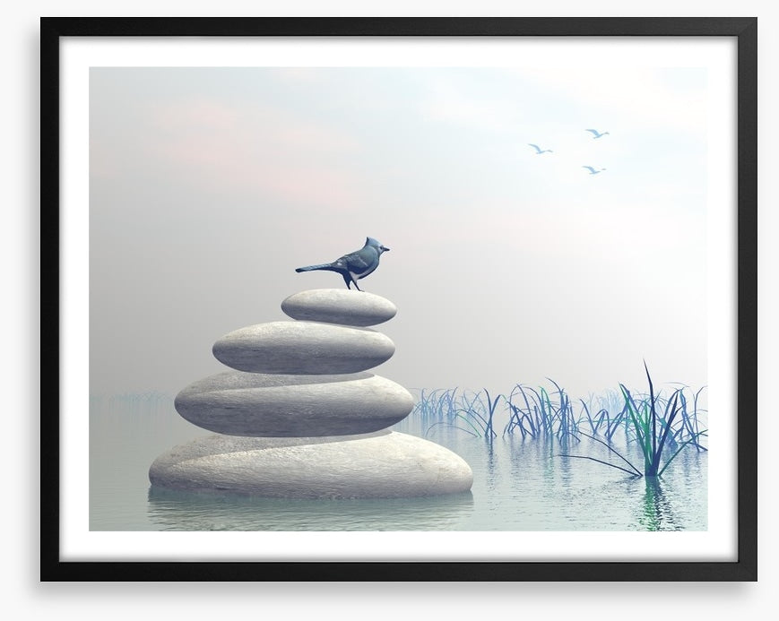 Bird of peace