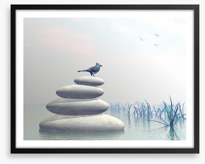 Bird of peace