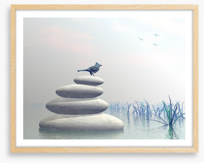 Bird of peace