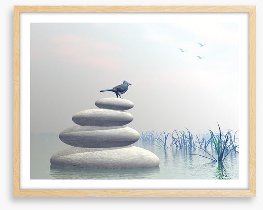 Bird of peace