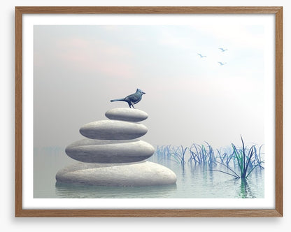 Bird of peace