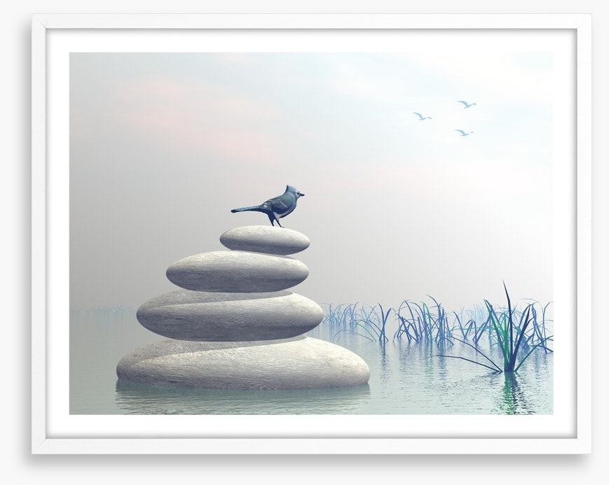 Bird of peace