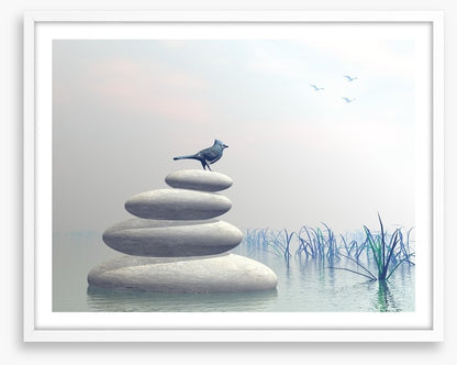 Bird of peace