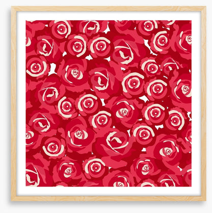 Red rosebuds