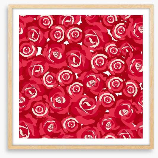 Red rosebuds
