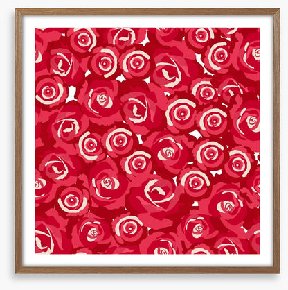 Red rosebuds
