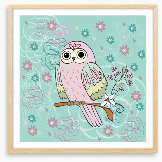 Pretty little owl