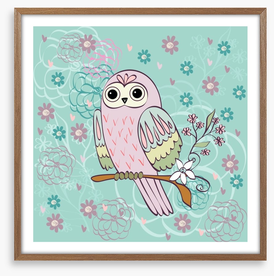 Pretty little owl