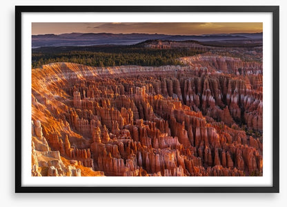 Desert