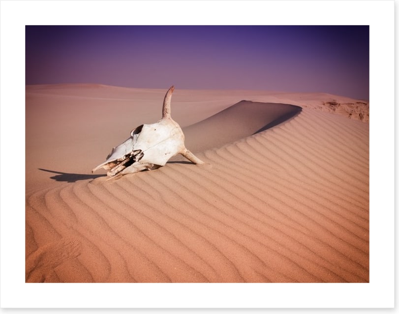 Desert