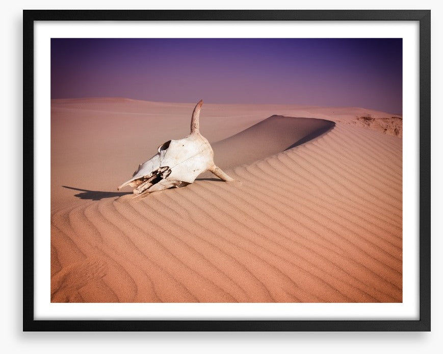 Desert
