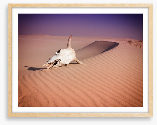Desert