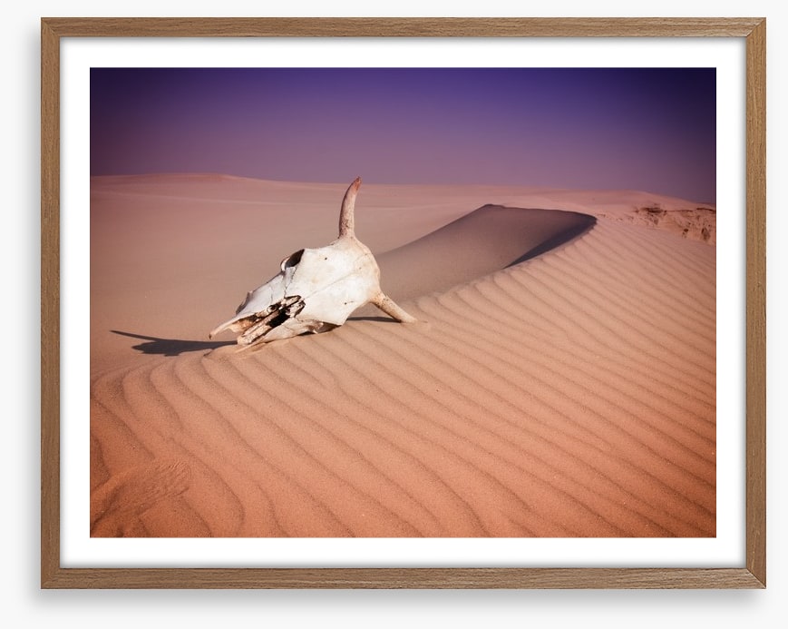 Desert