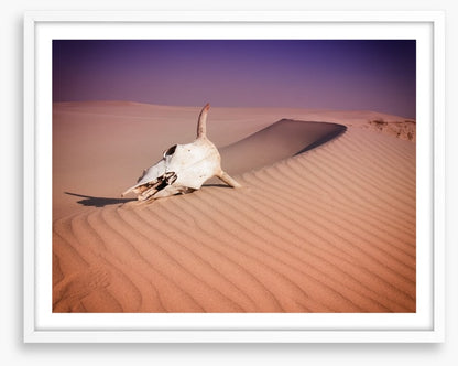 Desert