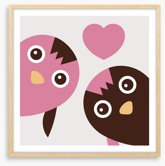 Owl love