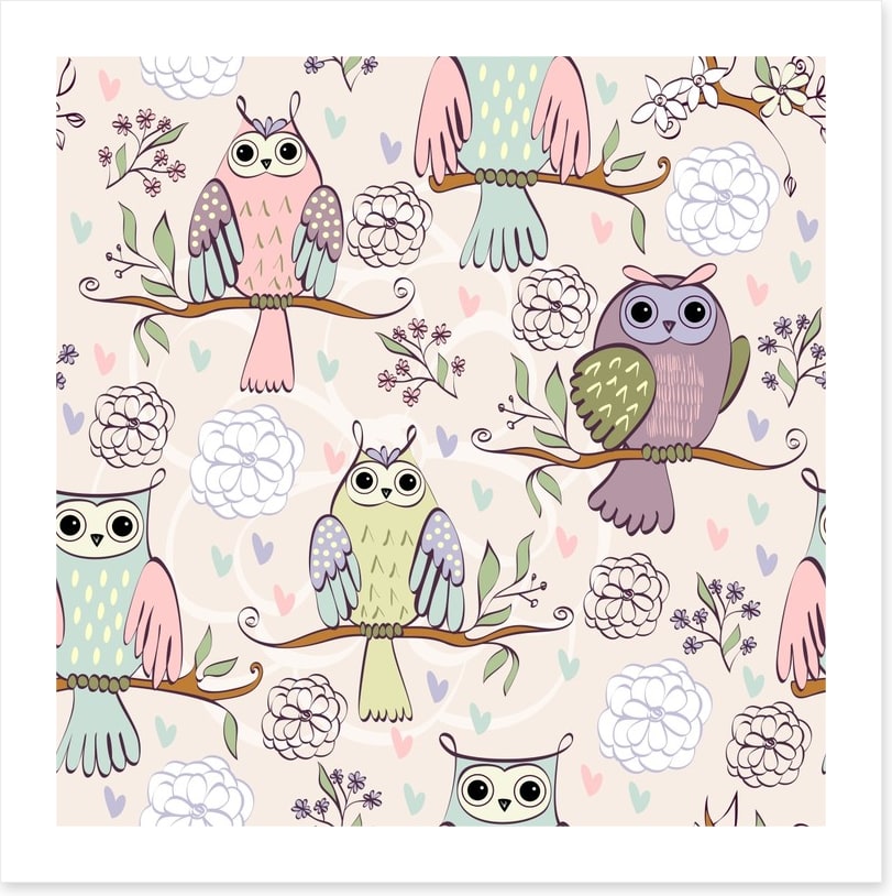 Owls