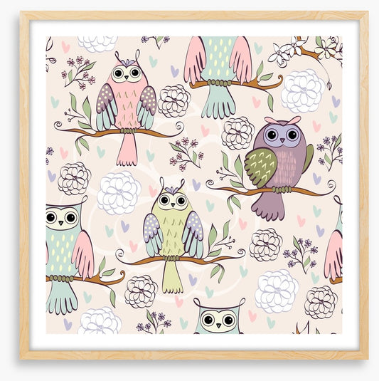 Owls