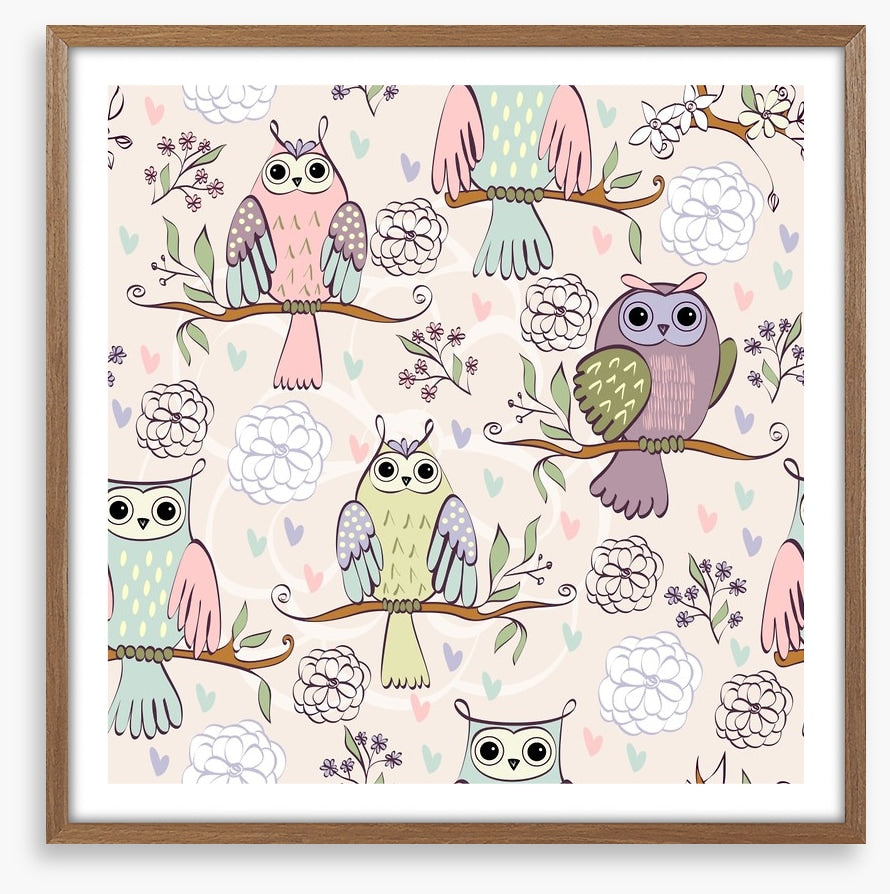 Owls
