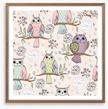 Owls