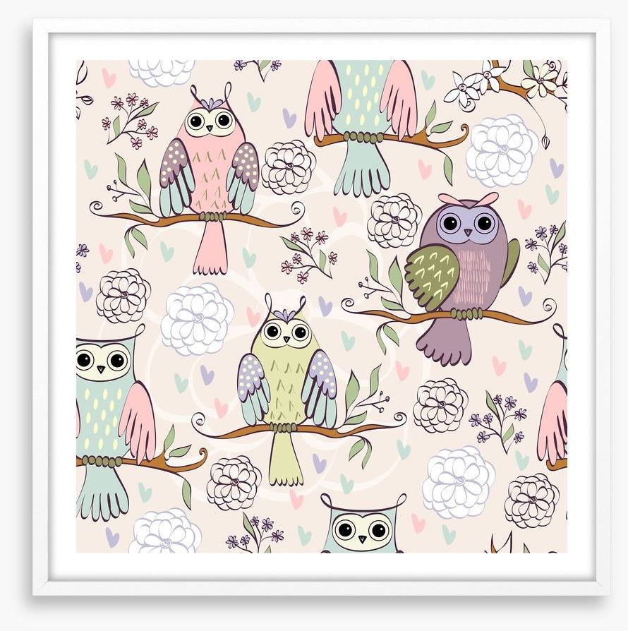 Owls