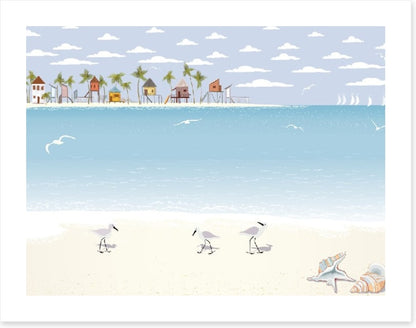 Gulls on the beach