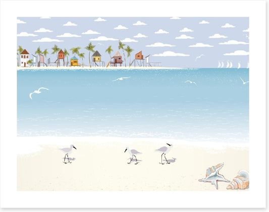 Gulls on the beach