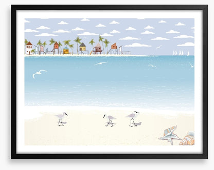Gulls on the beach