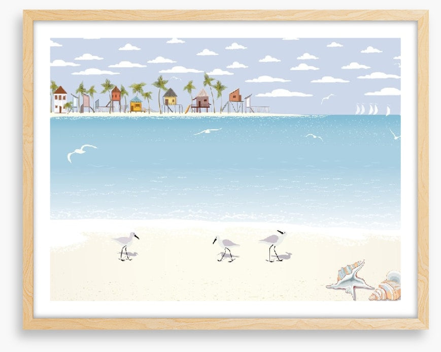 Gulls on the beach