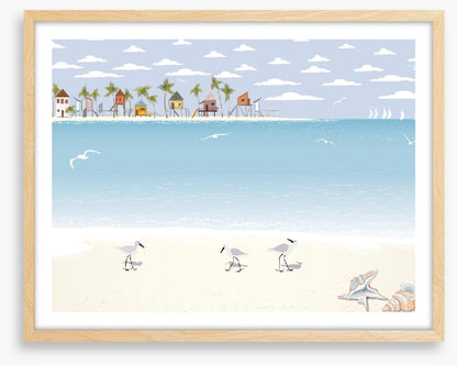 Gulls on the beach