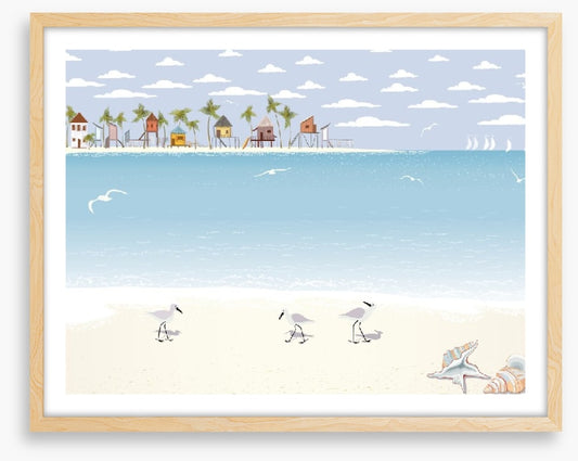 Gulls on the beach