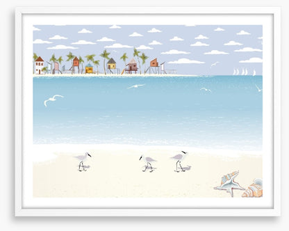 Gulls on the beach