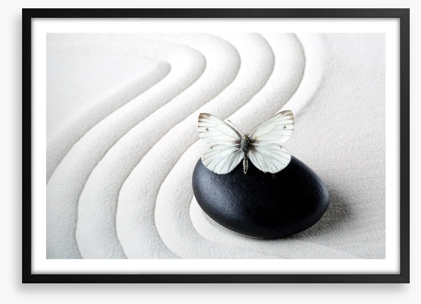 Purity
