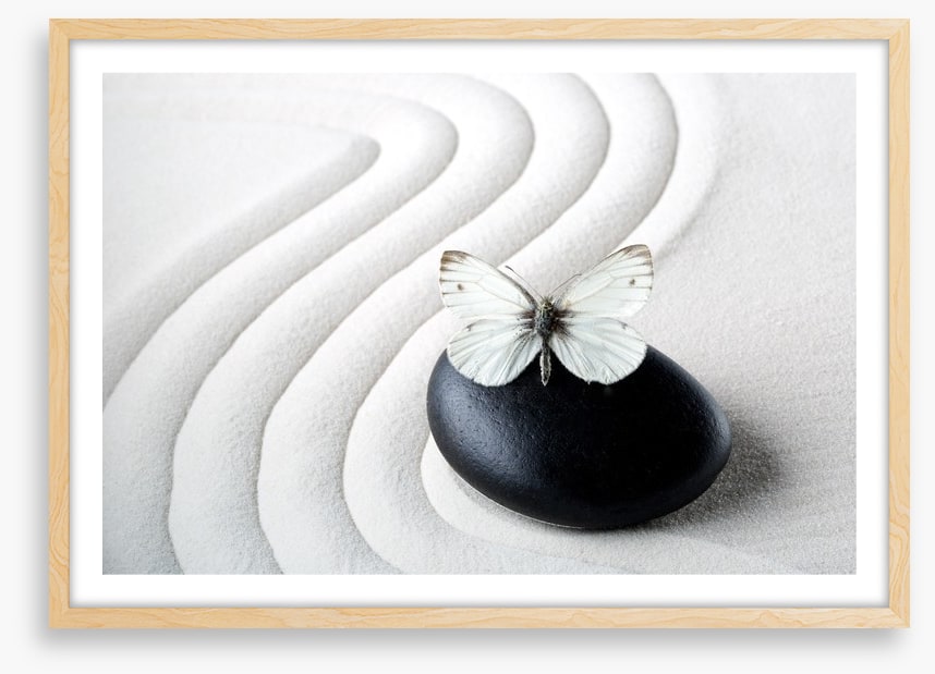 Purity