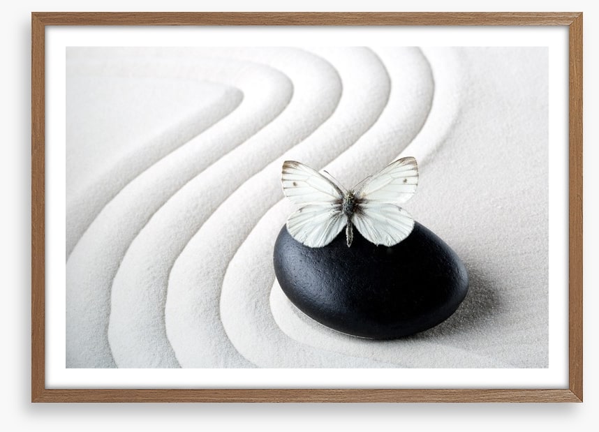 Purity