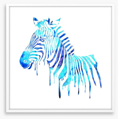 Dripping zebra blue