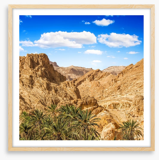 Chebika oasis, Tunisia