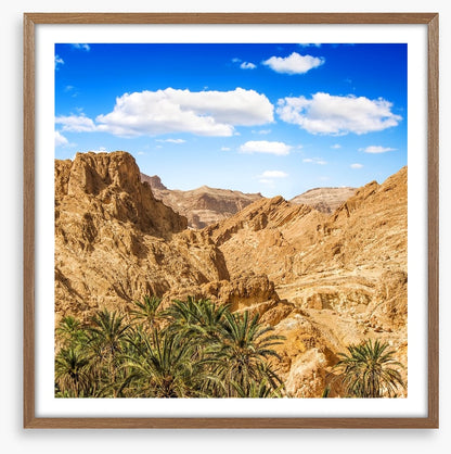 Chebika oasis, Tunisia