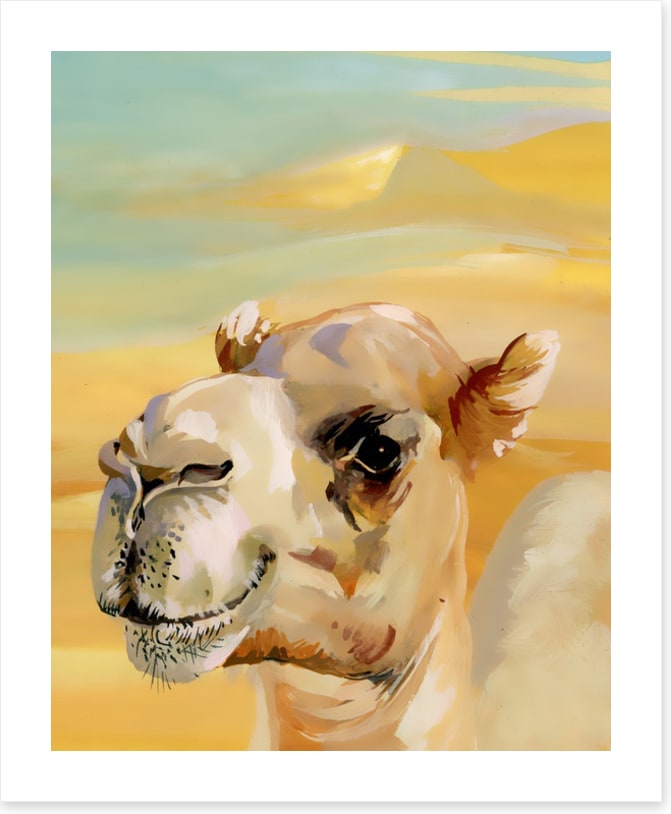Over the hump