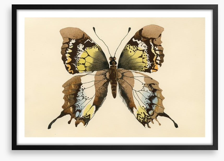 Aquarelle butterfly