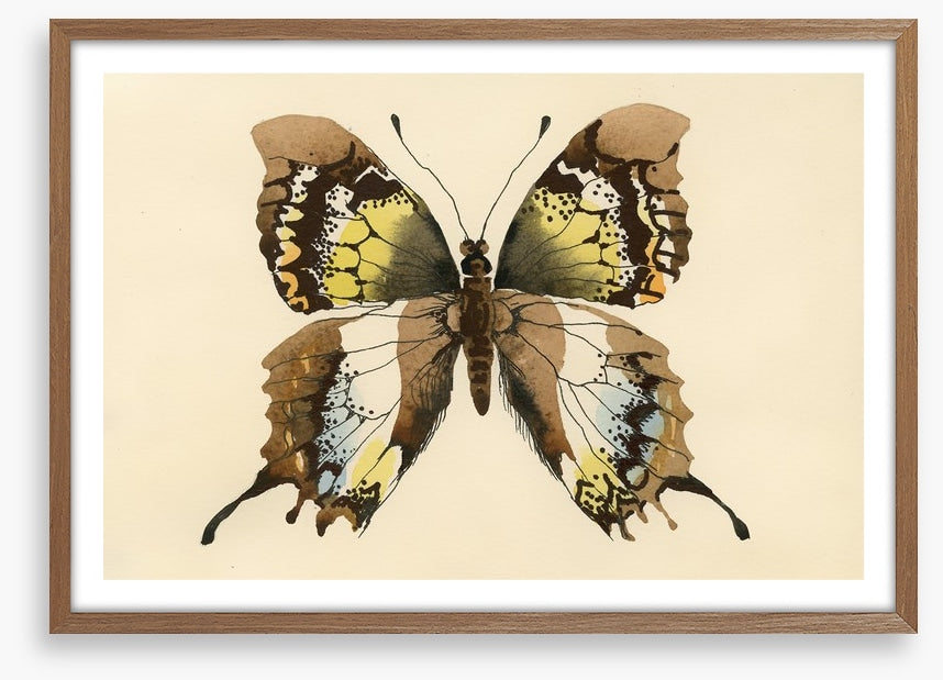 Aquarelle butterfly